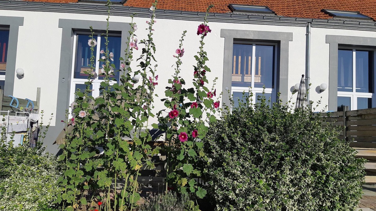 Sallertaine Cottage | Rental classified 3 stars - 4 people - heated swimming pool