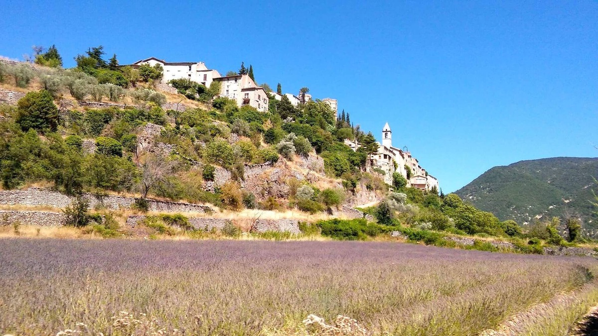 Sault Apartment | Rental in Provence at the foot of the Ventoux