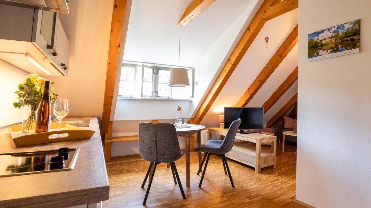 Oberloßnitz Apartment | Rental-Standard-Private Bathroom-Vineyard view-Nr. 3