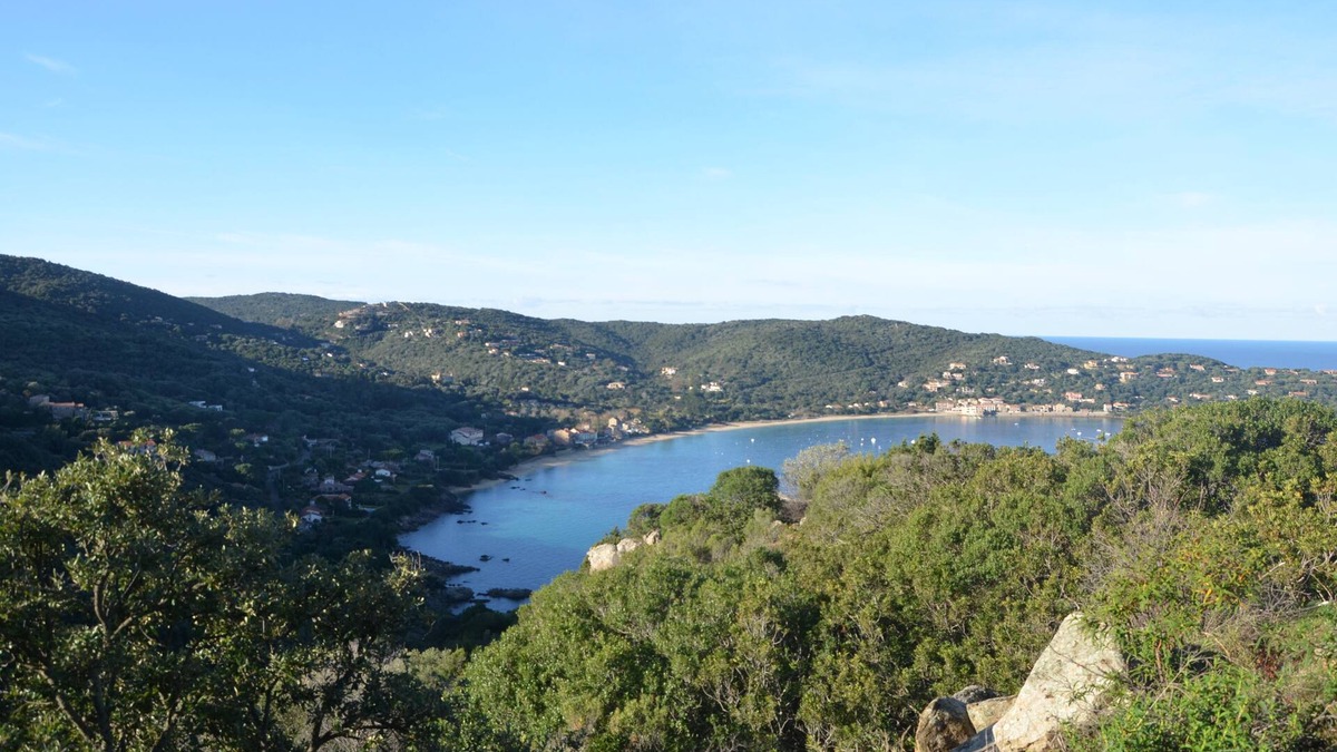 Belvedere-Campomoro Apartment | Res OLIVERAIE "EMMA T3/2". In the shade of the olive trees, a few steps from the sea