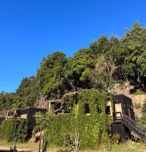 Constitucion Cabin | Reserva los Bollenes
