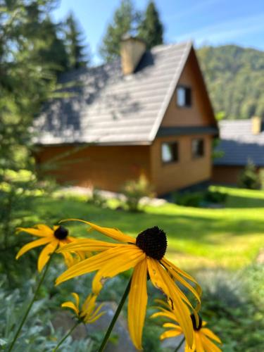 Baligrod Ski Chalet | Reset Bieszczady