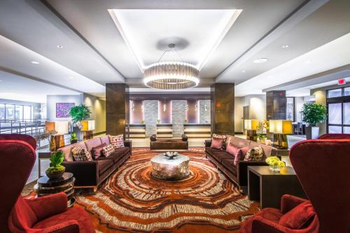 Starr Hill Hotel | Residence Inn by Marriott Charlottesville Downtown