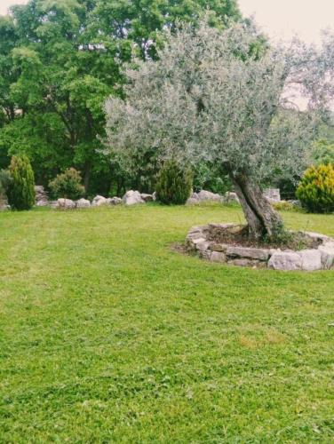 Busso Apartment | Residence San Martino Appartamento mini