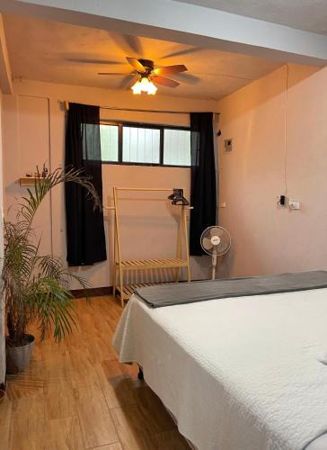 San Pedro La Laguna Apartment | Residencia Boho