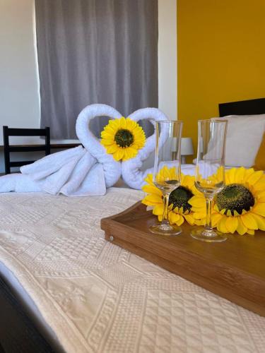 Ponta do Sol Bed & Breakfast | Residencial Sol Point Art