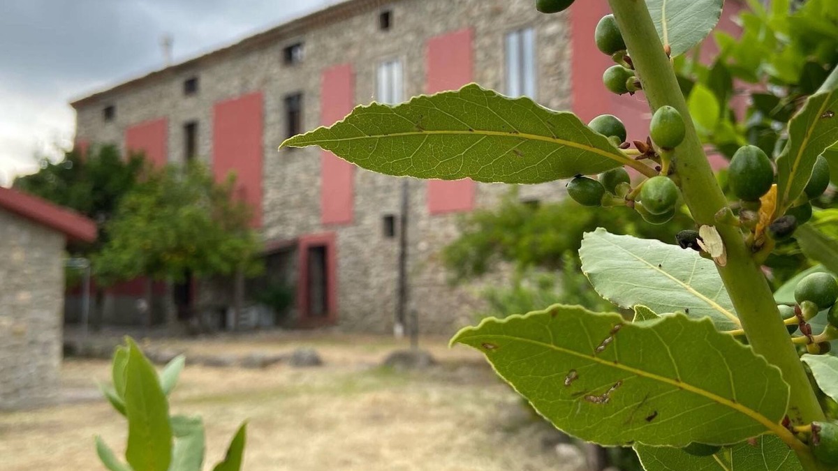 Rossano House | Residenza di Campagna B&B Tenuta Terrarossa