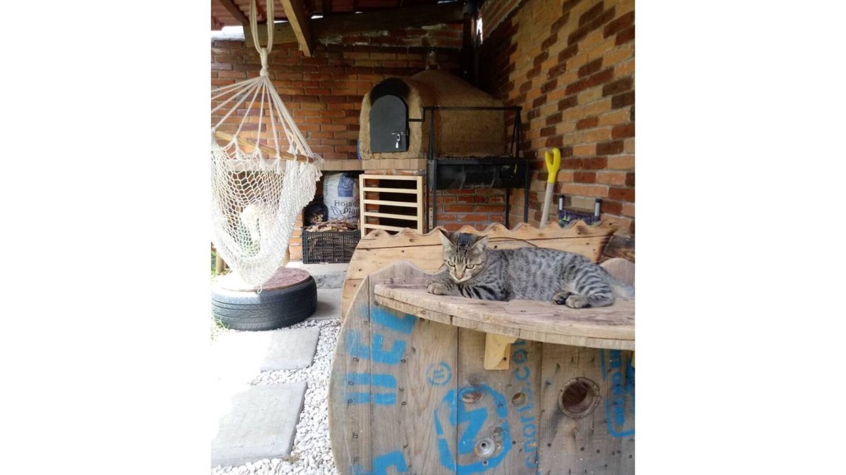 Apizaco House | Rest home to celebrate life!