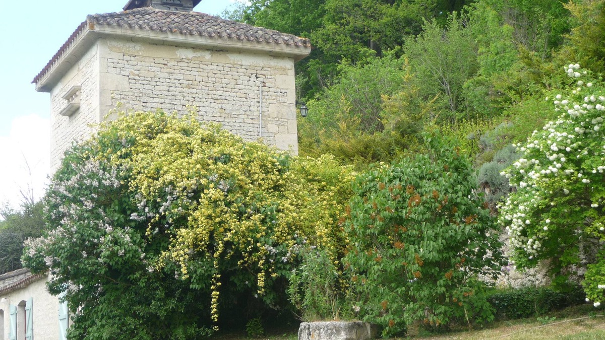Valprionde Cottage | Rest & tranquility for 9 or 13 people