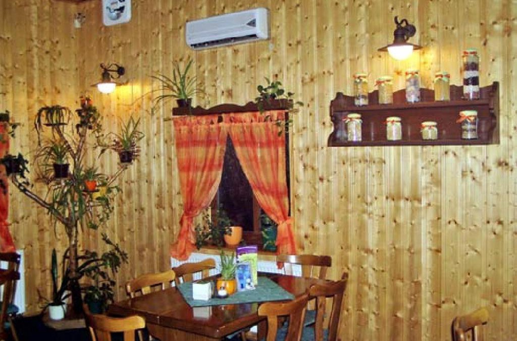 Mikulasovice House | Restaurace a Penzion u Vladaru