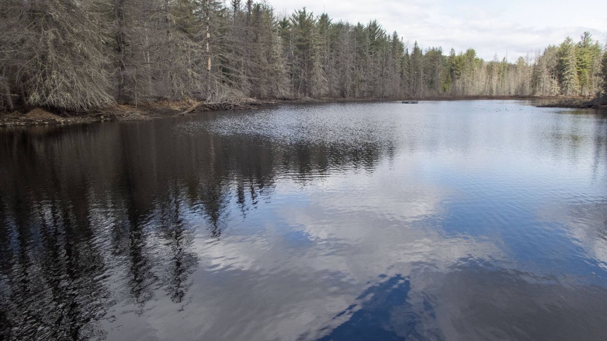 Hastings Highlands Cottage | Retreat cottage on your own private 12-acre pond.