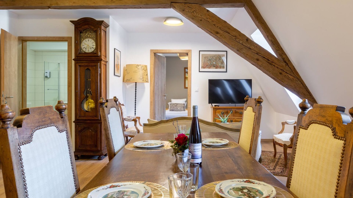 Selestat Apartment | RHENANUS: Jean Geiler de Kaysersberg 🐕‍🦺🅿️🗝