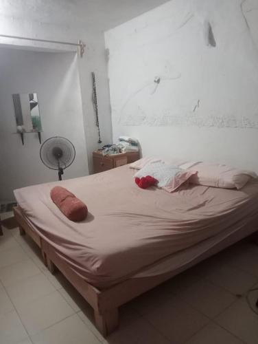 Colonos Cuzamil Apartment | Rhinos House