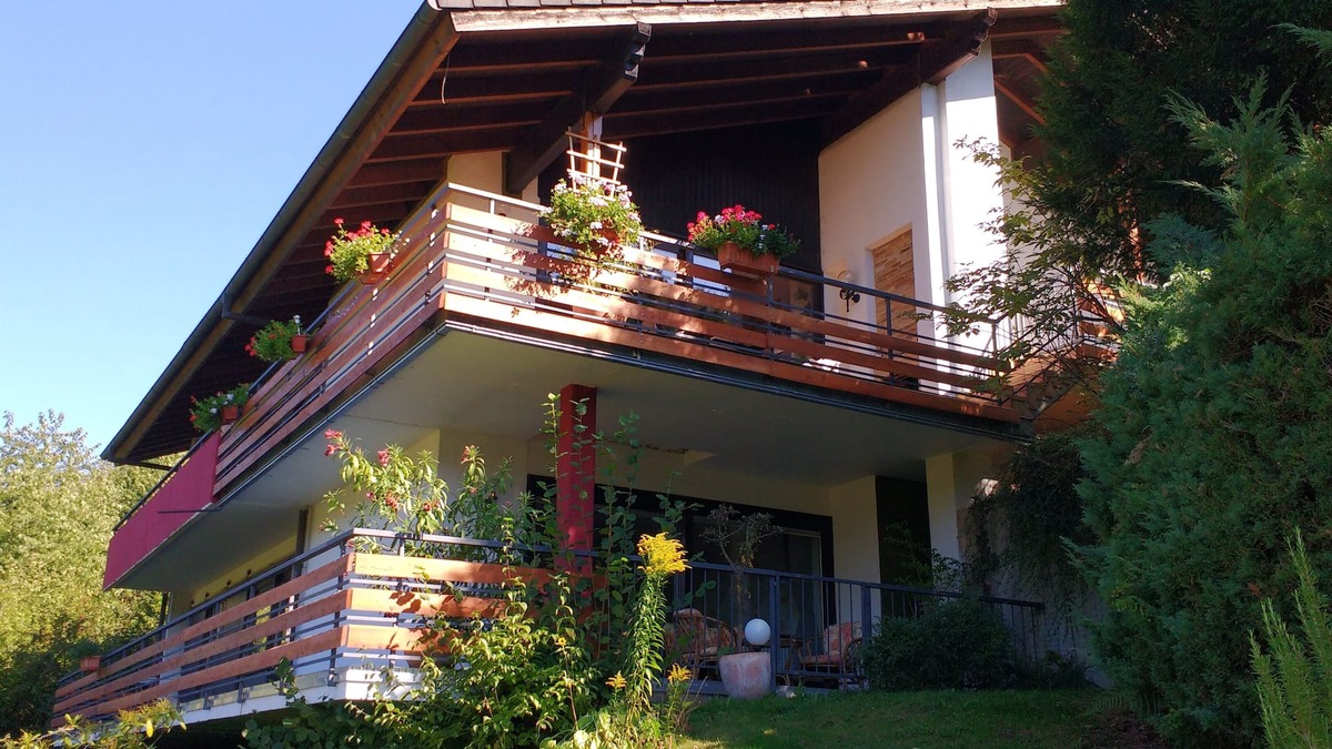 Rotenburg an der Fulda Apartment | Rhododendron vacation apartment: in the middle of the adventure forest on the Highwalk