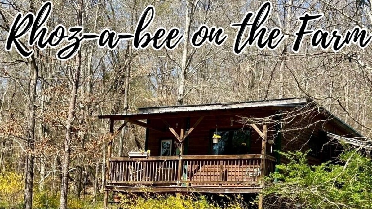 Wildwood Cabin | Rhoz-A-Bee's on The Farm