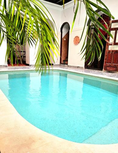 Riad Zitoun Jdid House | Riad El Grably
