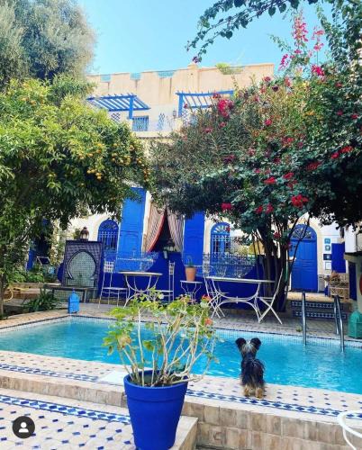 Ain Azlitan House | Riad Jean Claude