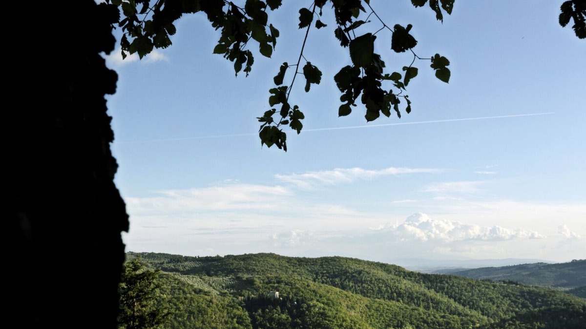 Lecchi in Chianti Cabin | Ricavo lodge with heated pool and outdoor jacuzzi