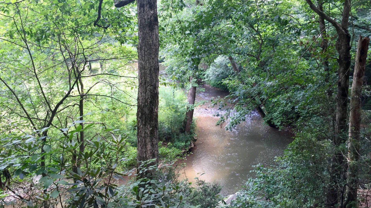Ellijay Cabin | Right on Clear Creek Tiny Home! Secluded yet convenient to town.