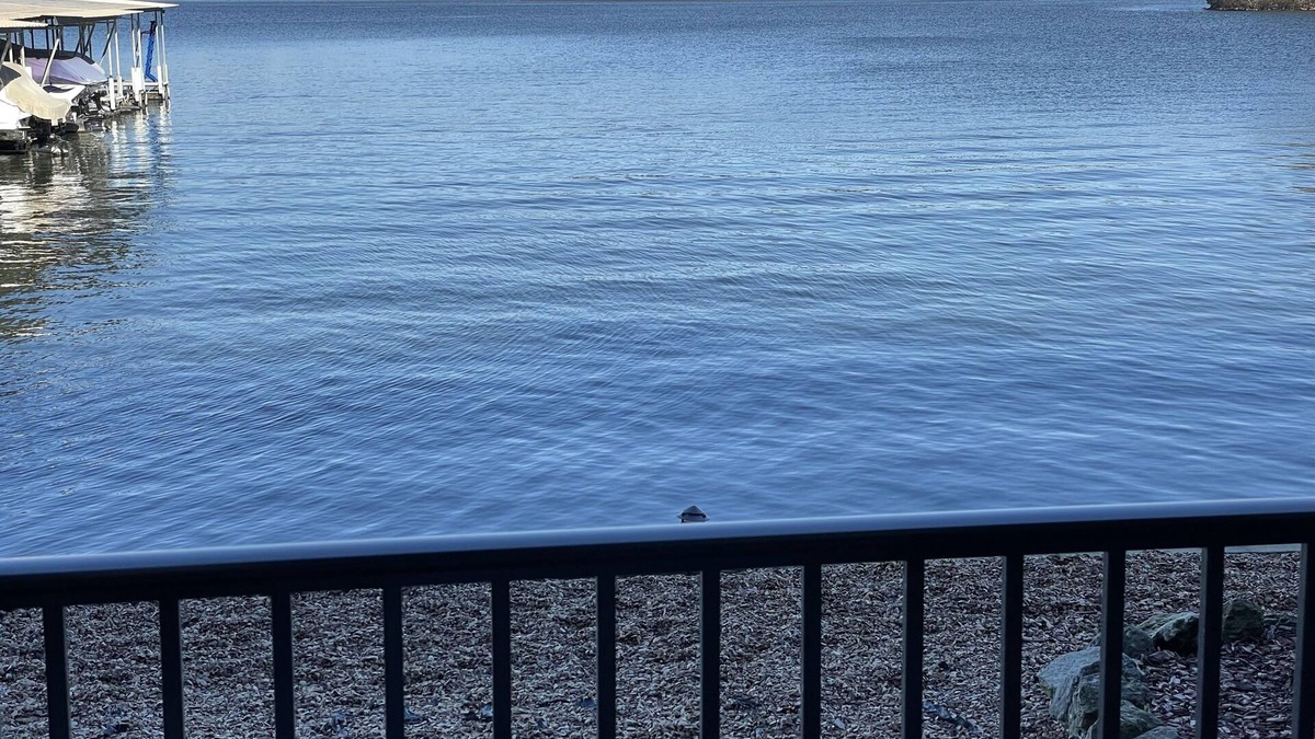 Osage Beach Condo | Right on the Water! 21.5 mm