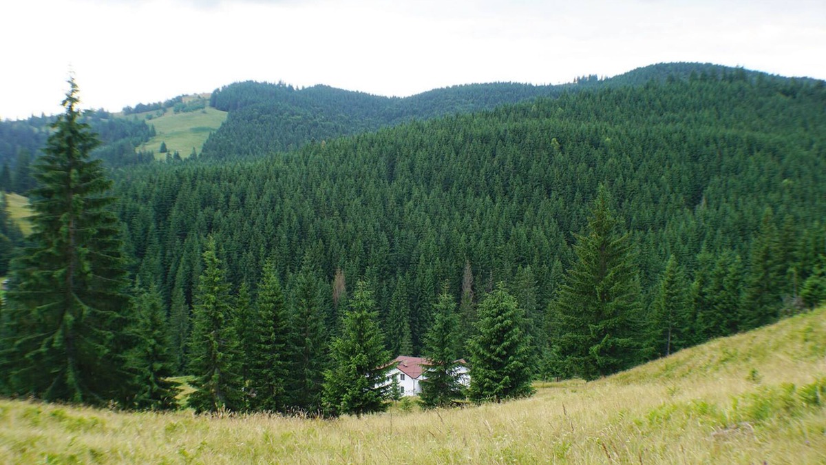 Vatra Moldovitei House | Rija Land, a rural retreat in Bucovina Mountains