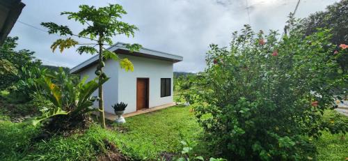Monterrey House | Rios-lodge