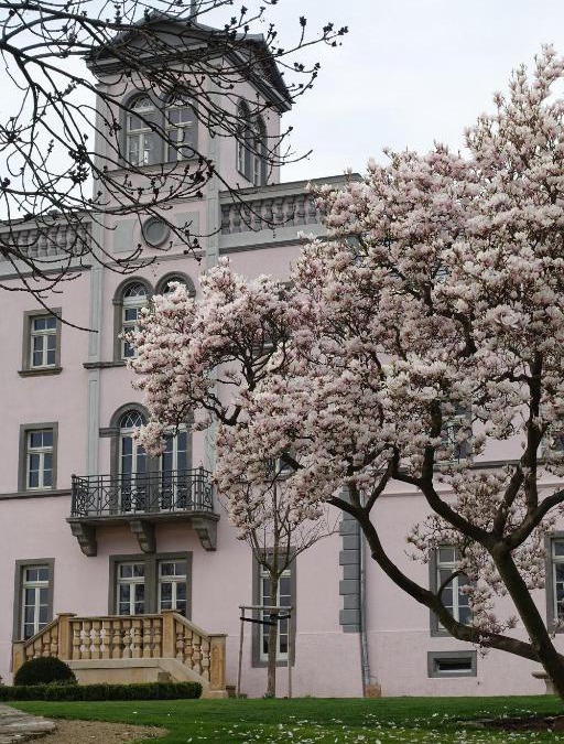 Meissen House | Rittergut Rottewitz