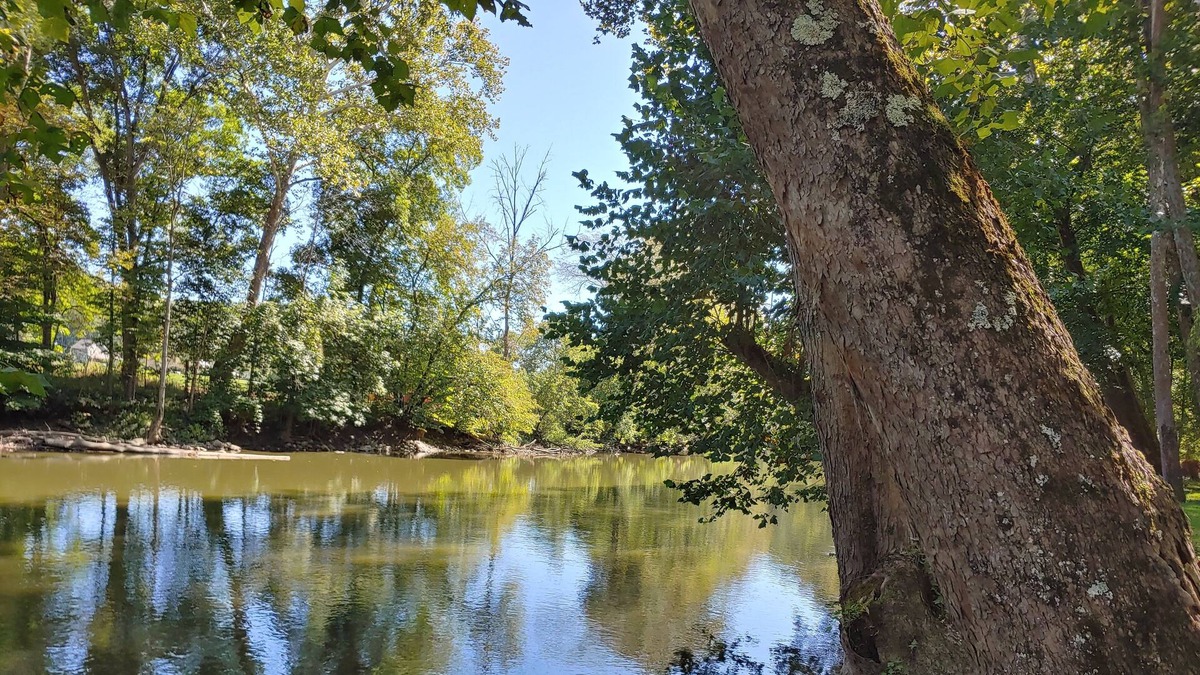 Loudonville House | River Cottage on the Banks of the Mohican River, Couples Retreat, Hike, Firepit