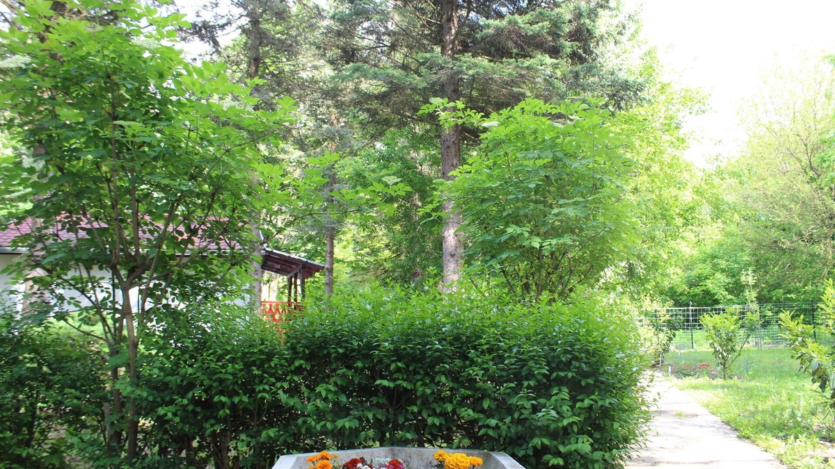 Szentendrei House | River Danube Cottage