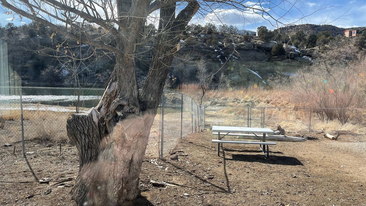 Navajo Dam House | River front fishing house close to Quality Waters and Navajo State Park