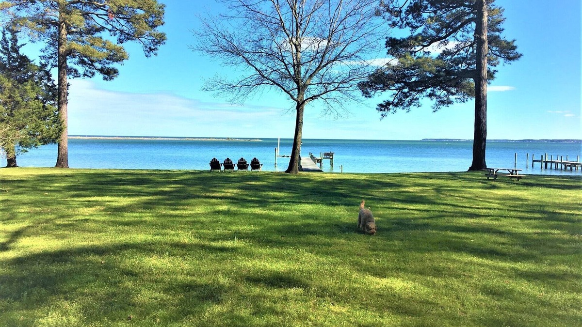 White Stone House | River House looking at the Chesapeake Bay/MONTHLY RENTAL