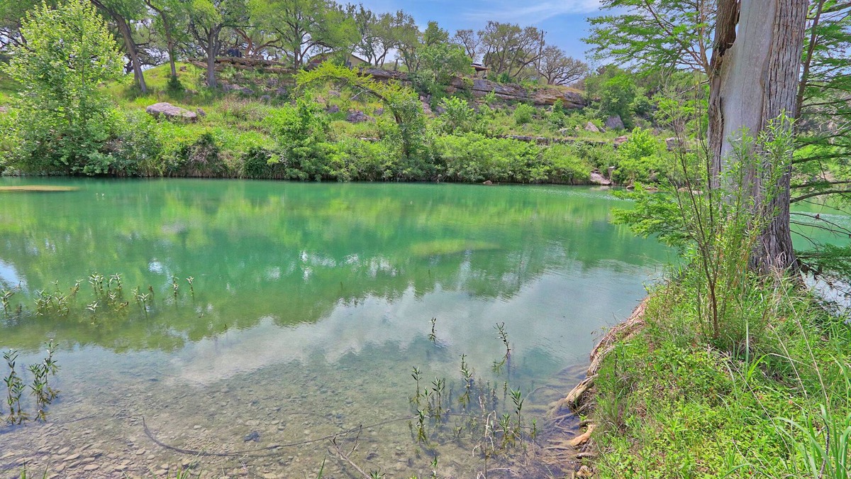 San Marcos House | River Rapids Hideaway - Tiny House with Blanco River Access!
