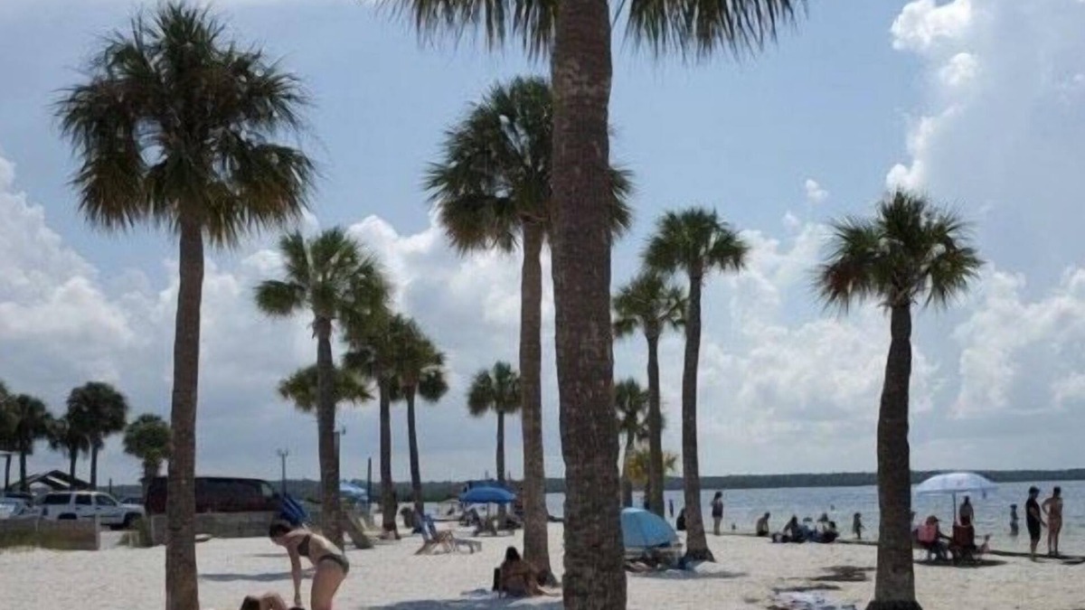 Weeki Wachee Gardens House | River to Gulf/kayaks/bring your boat/dogs -No fee/fenced yard/Mermaid themed