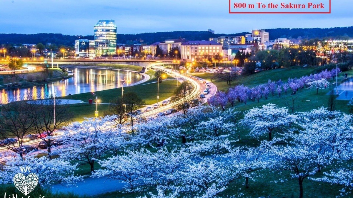 Business District Apartment | River to the City - Studio 8 apartment