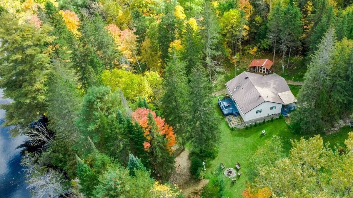 Hastings Highlands Cottage | Riverfront and Pet Friendly Oasis 10 minutes from Bancroft✨