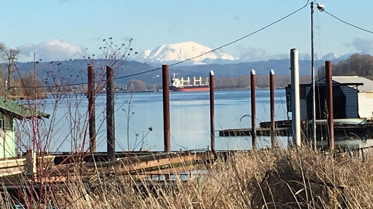 Clatskanie Cottage | Riverfront Red Cottage: Boating, fishing, hiking and kayaking