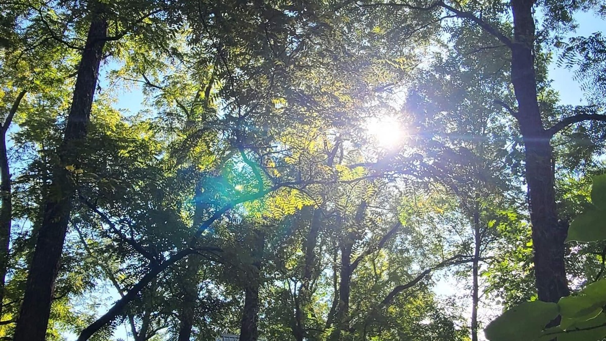 Eureka Springs RV Rental | Riverfront Treehouse Camp