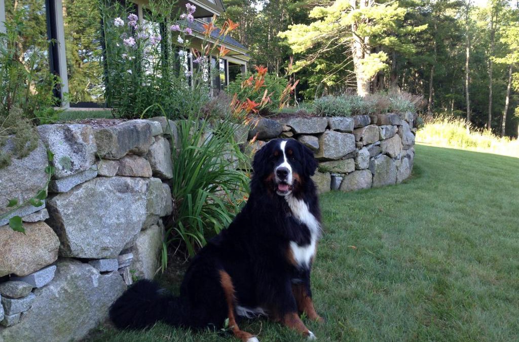 South Berwick Bed & Breakfast | Riverhouse