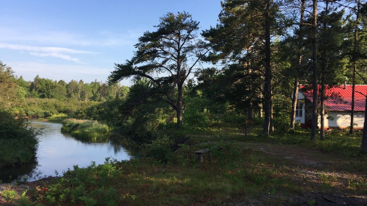 Paradise Cabin | Rivers Edge/Off Grid/Bird Watching Summer Paradise