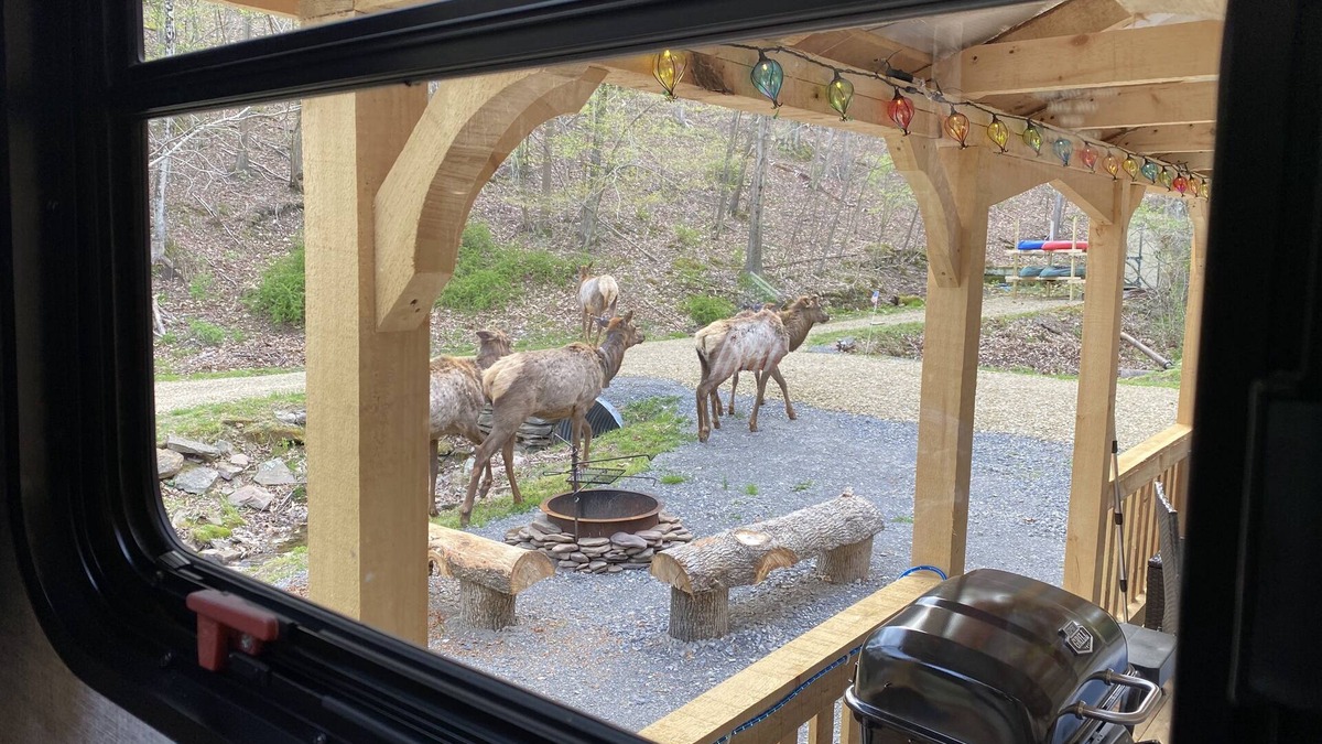 Driftwood House | Rivers, private elk viewing, FREE amenities, site on 62 acres