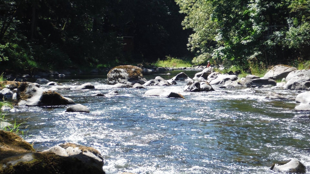 Battle Ground Cottage | RIVERSIDE Cottage on the East Fork Lewis River