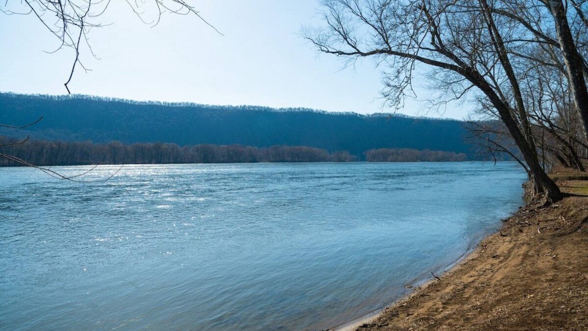 Loyalton House | Riverside Vista | Fire Pit, Sunroom + Kayaks!