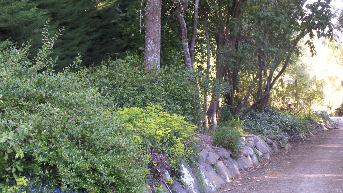 Geraldine Bed & Breakfast | Riverstone House