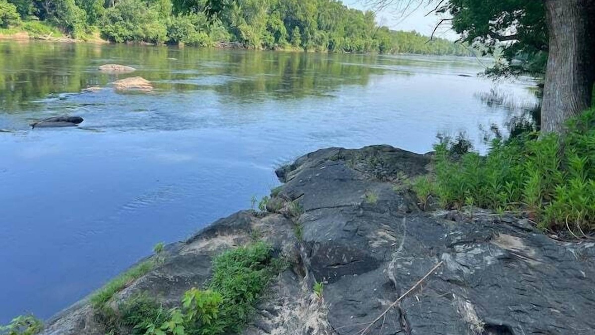 Bremo Bluff House | Riverview Cabin on the James