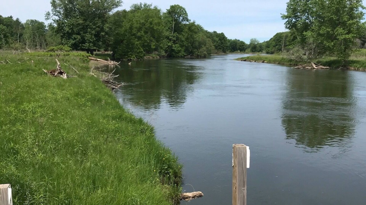 Wellston Cabin | Riverview Hideaway New! Manistee River Frontage 2 Bedrom Cabin