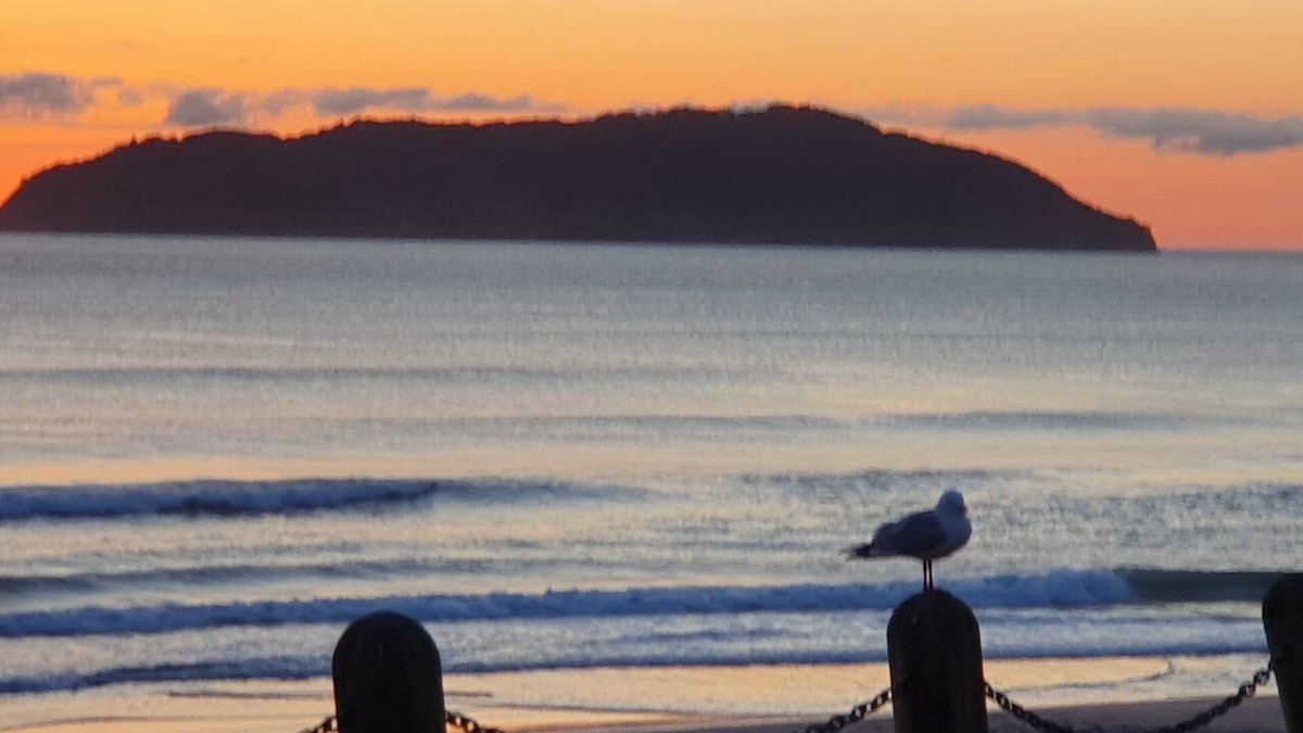 Tairua House | Roberts Beach Escape in Tairua is 3-5 minute walk from the beach