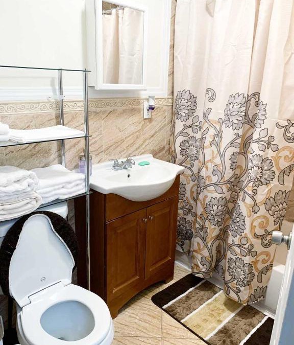Crown Heights House | Rochester's Place