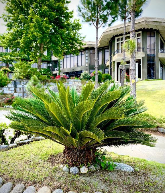 Mingora Hotel | Rock City Resort