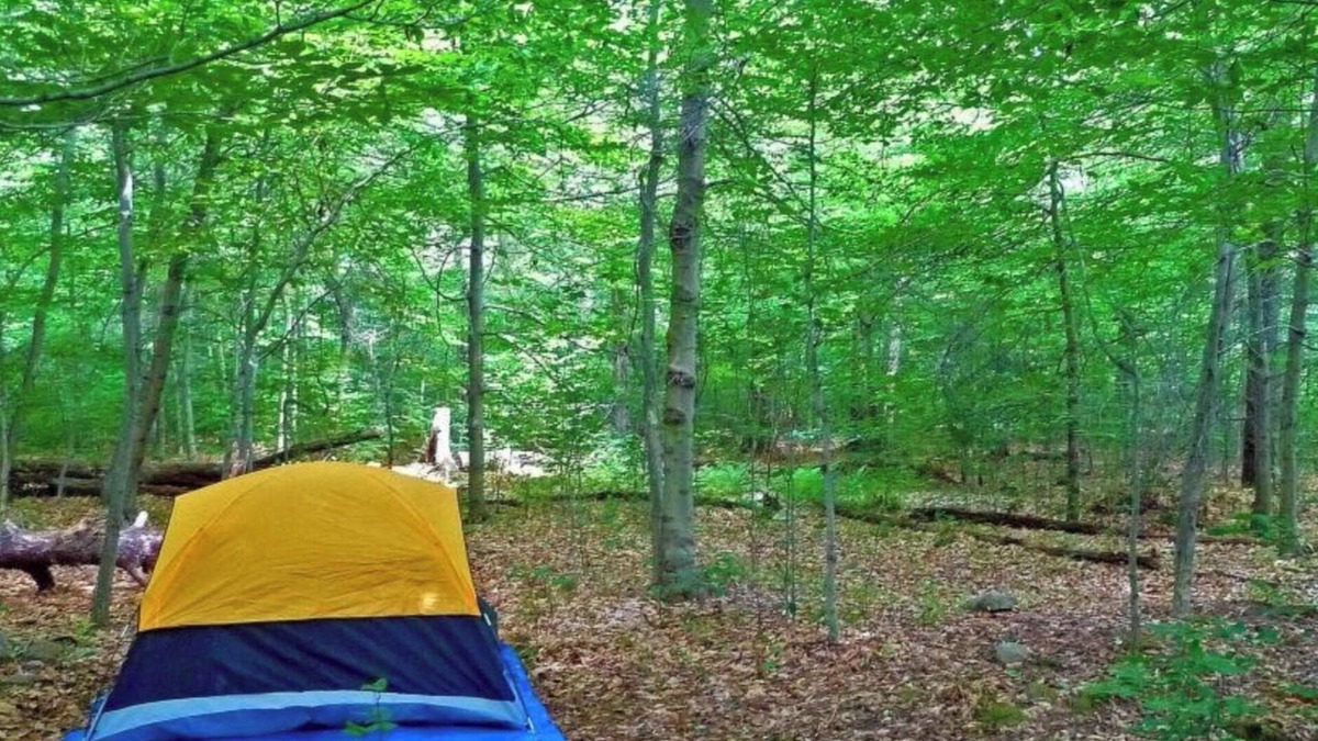 Cullman RV Rental | Rock The South Car Camping Walk To Rock The South