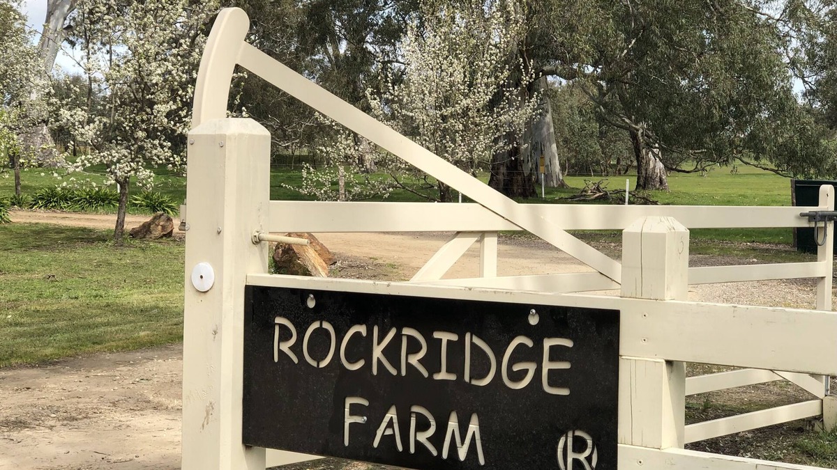 Talunga Apartment | Rockridge, apartment pet friendly semi rural farm stay Set amongst tall gums